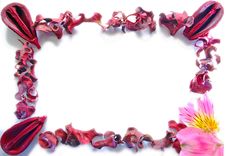 Frame Of Dried Leaves, Nuts And Flower Stock Photo Frame Of Dried Leaves, Nuts And Flower Stock Photo