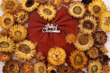 Christmas Bow And Flower Stock Image Christmas Bow And Flower Stock Image