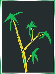 Bamboo Stock Image Bamboo Stock Image