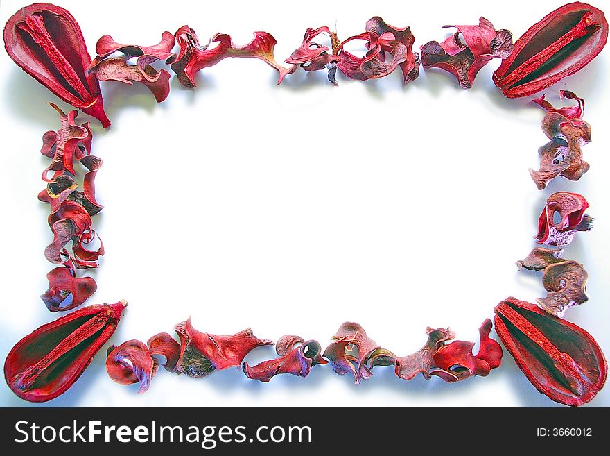 Mix of dried, red leaves and nuts arranged in a frame.  Insert your own text. Mix of dried, red leaves and nuts arranged in a frame.  Insert your own text.