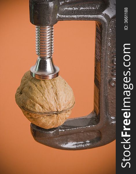 Closeup of a walnut in a C clamp. Closeup of a walnut in a C clamp.