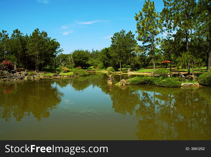 Green trees and and pond in asian garden. Green trees and and pond in asian garden