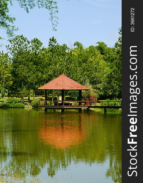 Green trees and and pond in asian garden