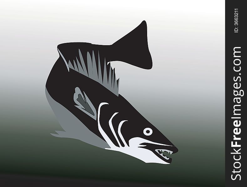 Illustration of a fish turning