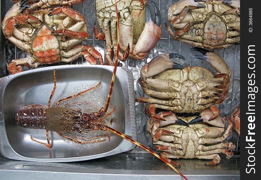 Lobster and large crabs for sale at market