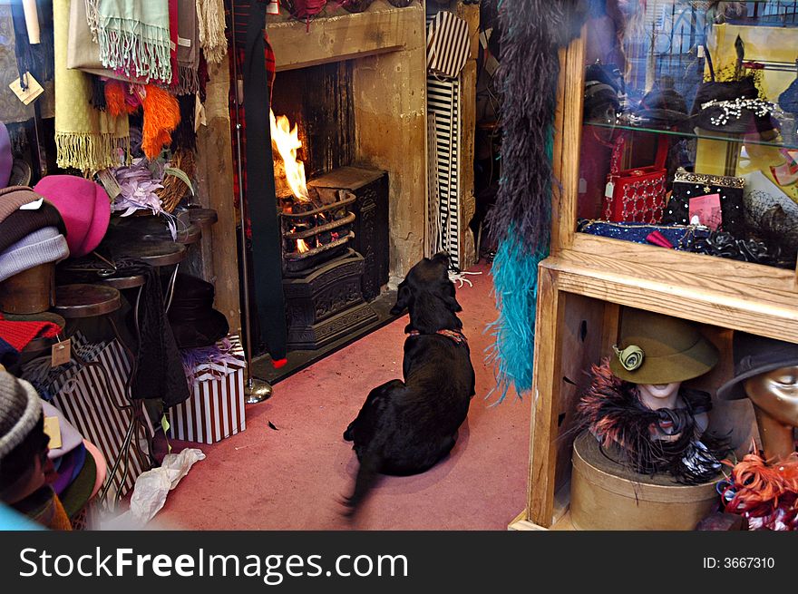 A dog sits in a shop in front the fire in the city of Bath UK. A dog sits in a shop in front the fire in the city of Bath UK