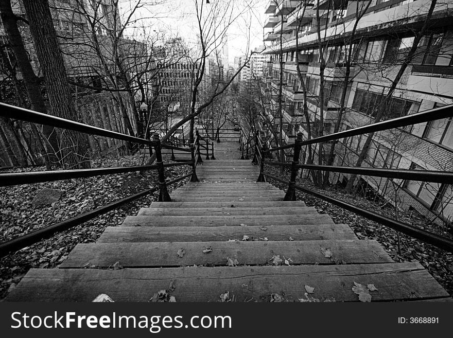 A flight of steps climbing a steep hill in Montreal. A flight of steps climbing a steep hill in Montreal