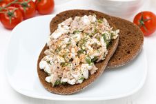 Rye Bread With Tuna, Homemade Cheese And Dill Royalty Free Stock Image Rye Bread With Tuna, Homemade Cheese And Dill Royalty Free Stock Image