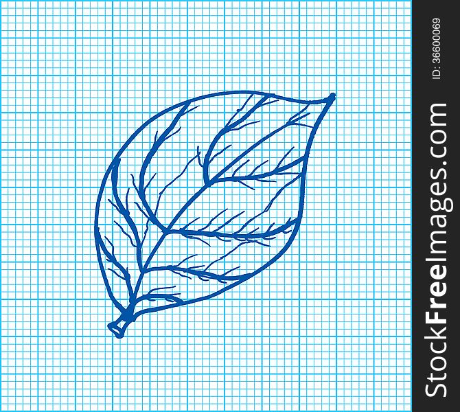 Drawing of leaves vector - on background. Drawing of leaves vector - on background
