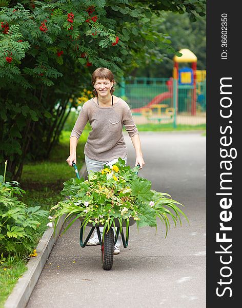 Girl with garden wheelbarrow