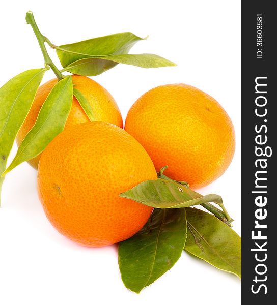 Arrangement of Fresh Ripe Tangerines with Stems and Leafs isolated on White background