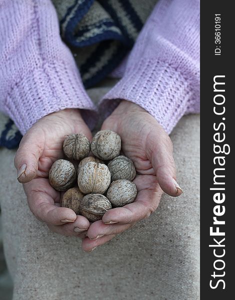 Old woman holding a handful of walnuts