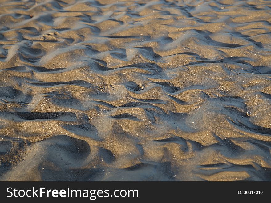 Sand dunes in beach at sun