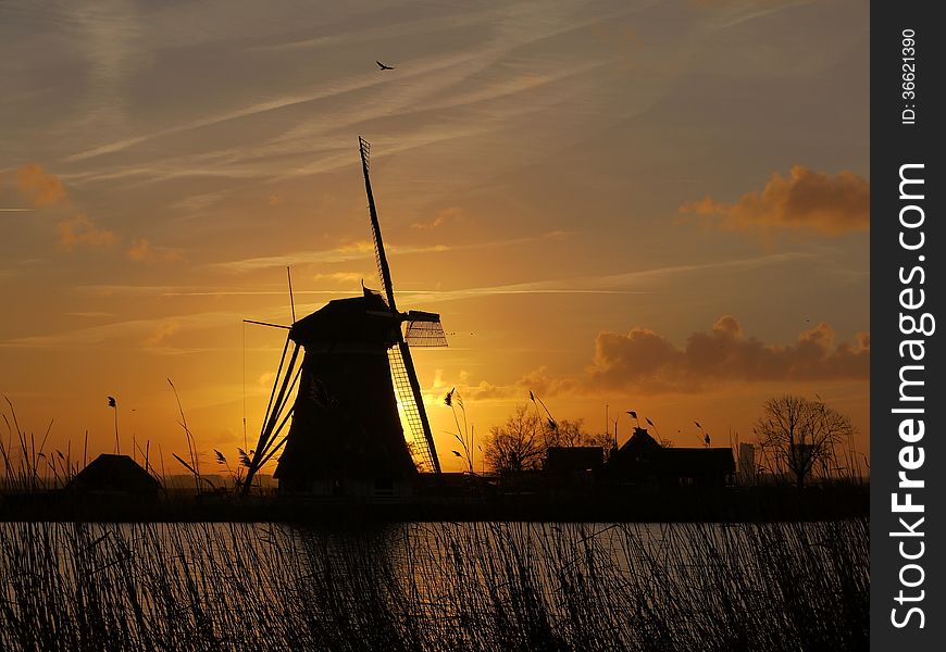 Sunrise behind a windmill wit an eagle flying above the windmill.