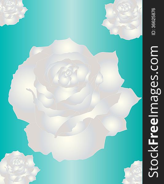Illustration of five pearly white roses of various sizes on turquoise background gradient.