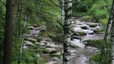 Panorama Of Belokurikha Mountain River In Altai Krai. Royalty Free Stock Photography Panorama Of Belokurikha Mountain River In Altai Krai. Royalty Free Stock Photography