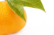 Mandarin Royalty Free Stock Photo Mandarin Royalty Free Stock Photo