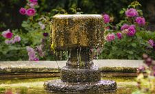 Antique Fountain On Background Of Roses Royalty Free Stock Photo Antique Fountain On Background Of Roses Royalty Free Stock Photo