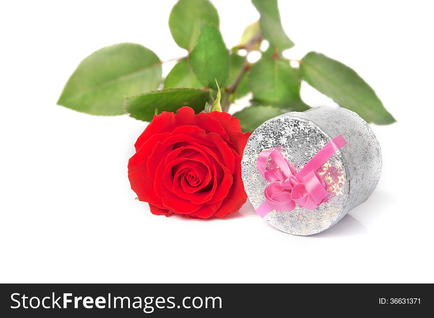 Small scarlet rose and silver gift box over white. Small scarlet rose and silver gift box over white