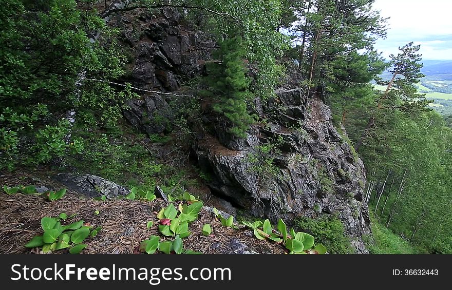 Panorama of the Altai Mountains from peak Shallow Sinyuha. Russia.