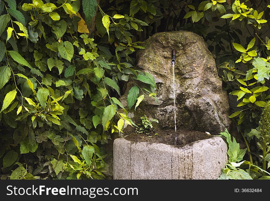 Fountain in thicket of bushes Water source