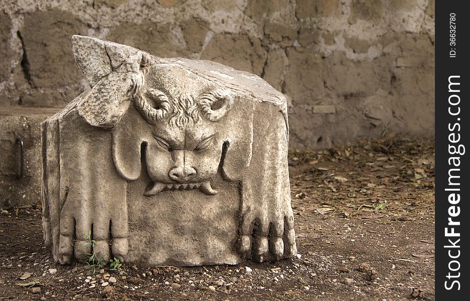 Hidden Tiger Historic Antique Statue Ruins