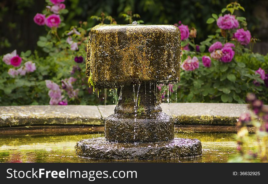 Antique fountain on background of roses Park