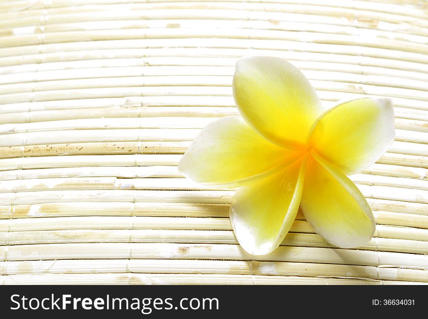 For Background, White Yellow Frangipani