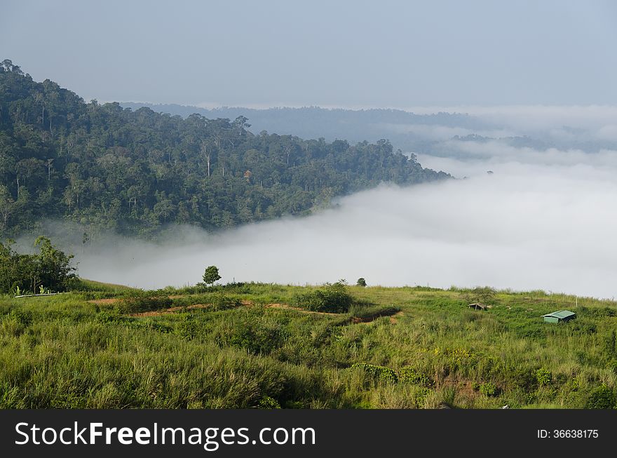 Fog and mountain