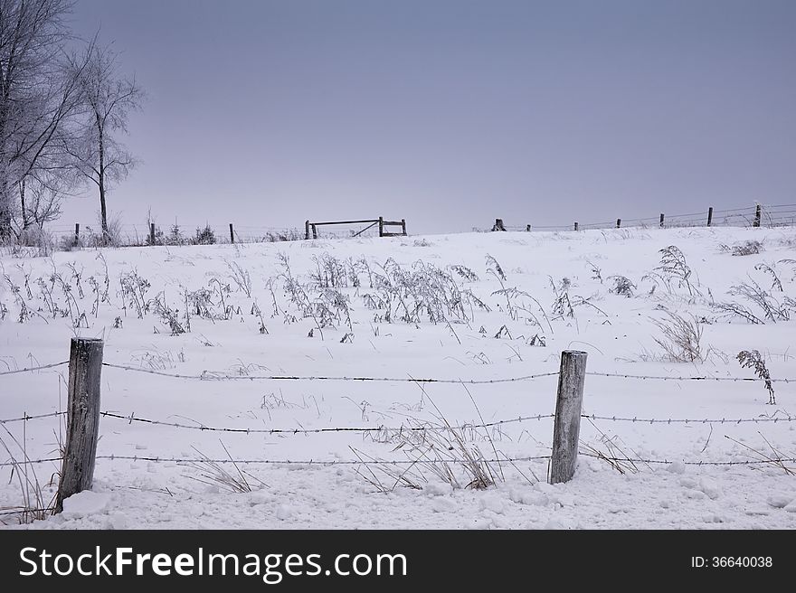 Scenic winter farm landscape with barbed wire fence in the foreground. Hoarfrost clings to wire and trees. Winter in Wisconsin