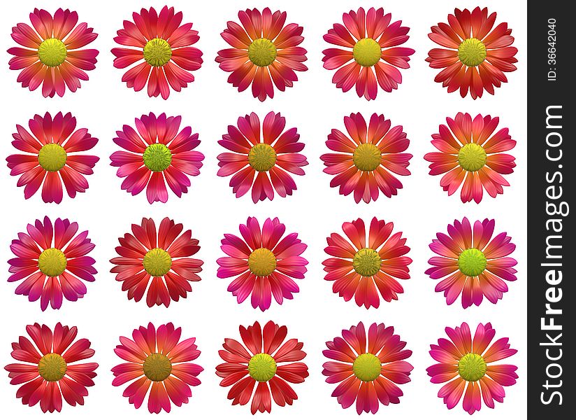 Red open flowers pattern on white backgrounds