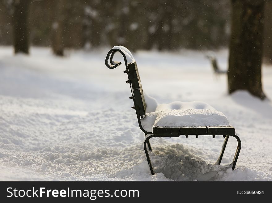 Park bench wiith snow shower