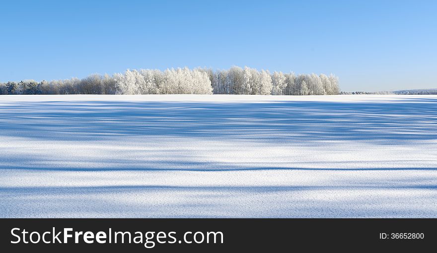 Winter scene. Kaluga region, Russia