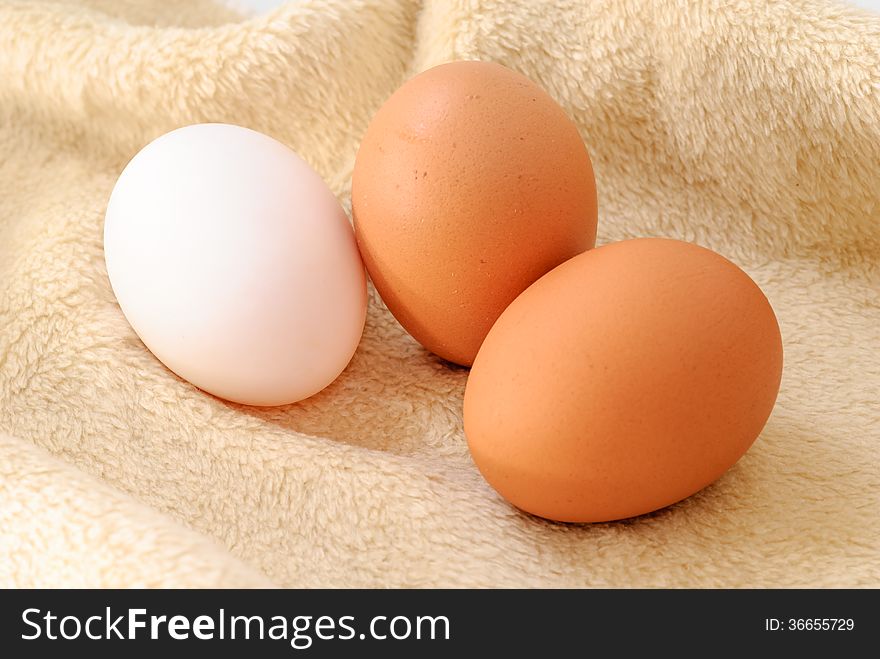 Eggs on cloth background with