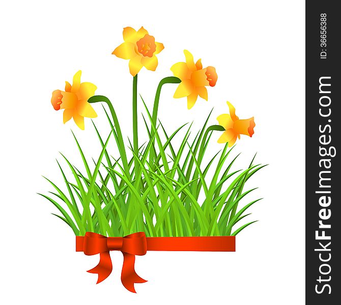 Vector invitation cards with narcissus and grass. Vector invitation cards with narcissus and grass.
