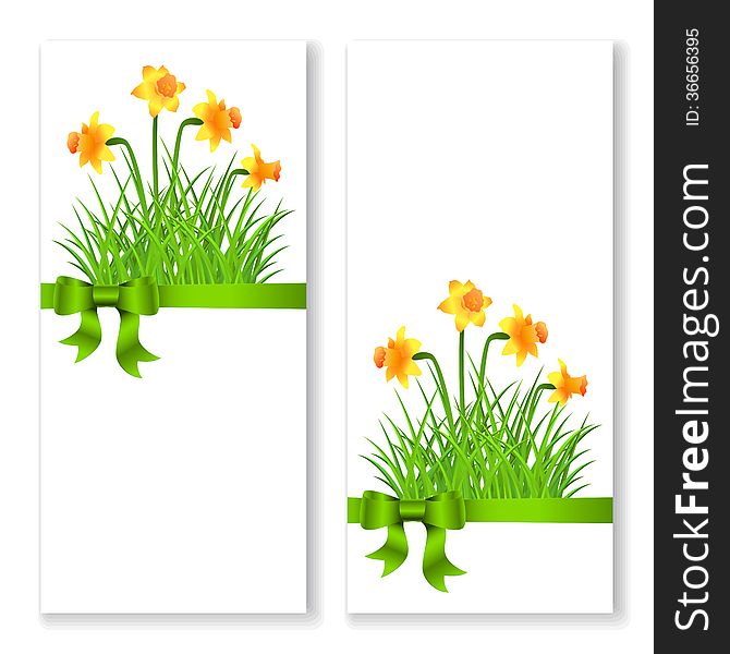 Two vector invitation cards with narcissus and bow ribbon. Two vector invitation cards with narcissus and bow ribbon.