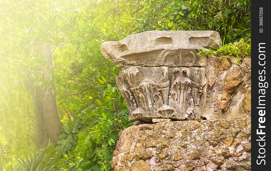 Fragmet Antique Column In Sunlight