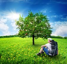 Tourist And Apple-tree Royalty Free Stock Photo