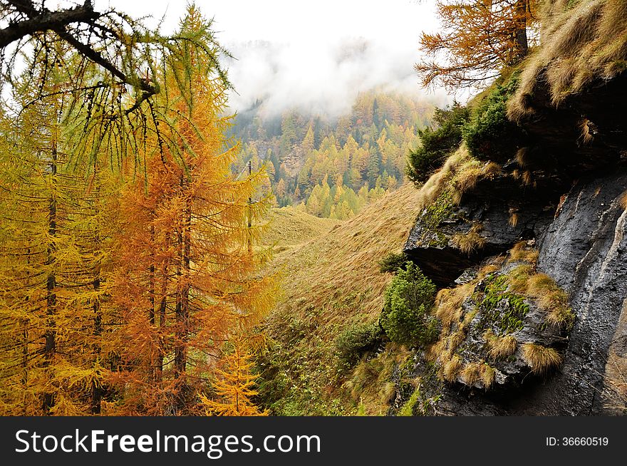 Autumn landscape in Italy Alps area. Autumn landscape in Italy Alps area