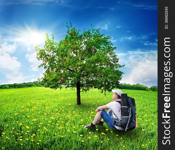 Tourist sitting in the field near an apple-tree. Tourist sitting in the field near an apple-tree