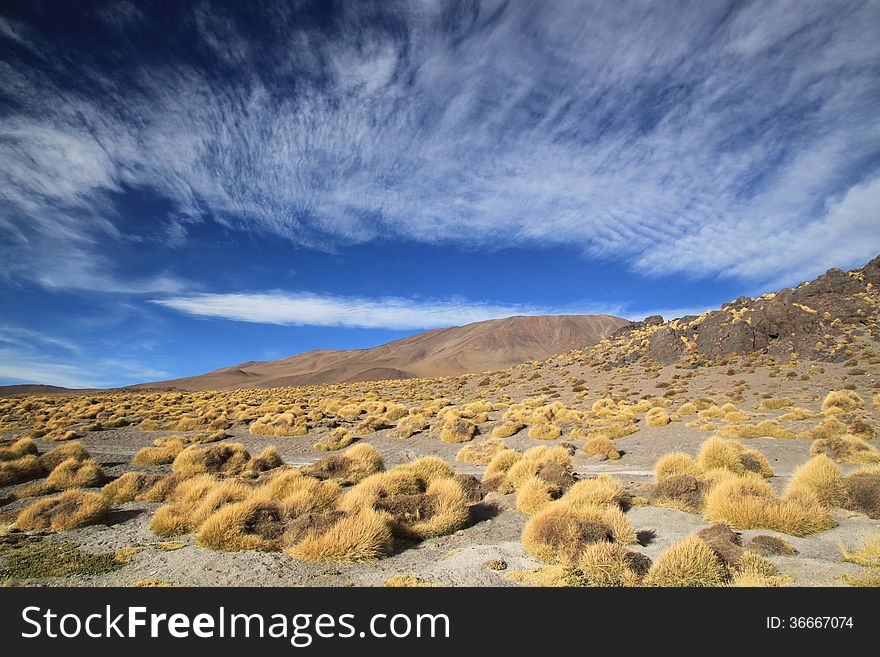 Scenic view in Andes Mountains, Bolivia