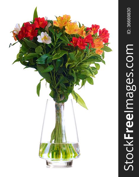 Beautiful Coloured Flowers in the Glass Vase Isolated on the White Background. Beautiful Coloured Flowers in the Glass Vase Isolated on the White Background