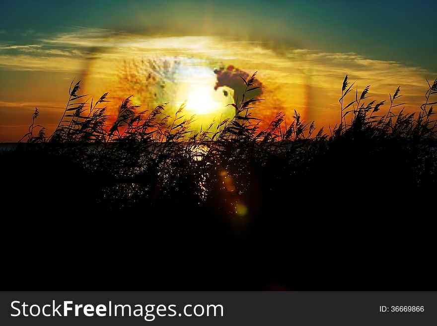 Big eye over warm summer sky, conceptual manipulated photo. Big eye over warm summer sky, conceptual manipulated photo