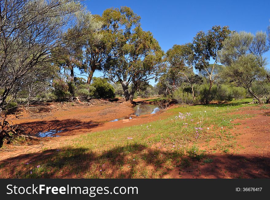 Australian outback water hole