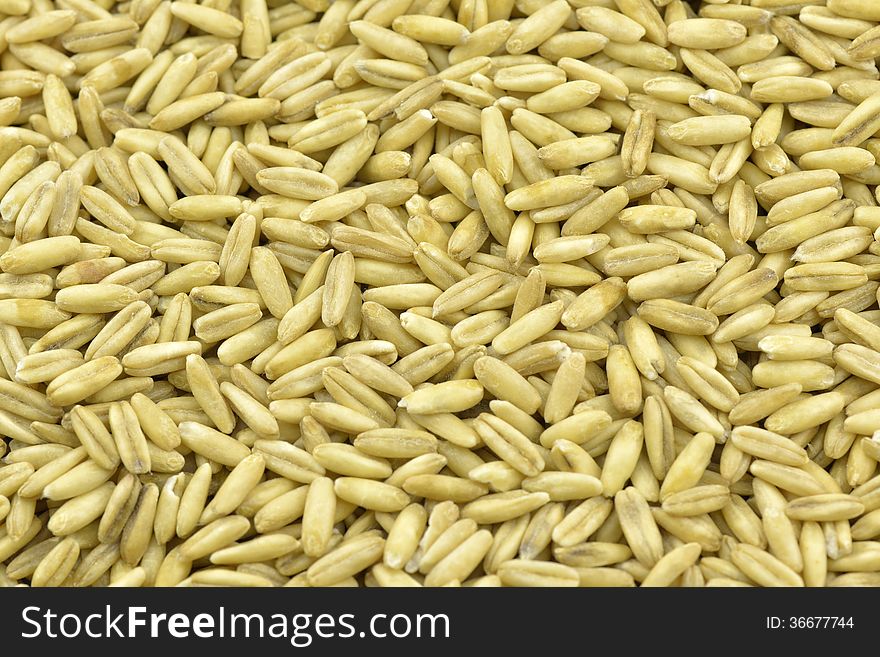 Oat seeds background in closeup