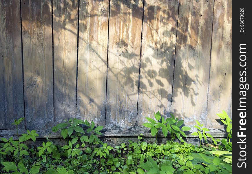 Weathered wooden wall with tree shadow and green grass on bottom