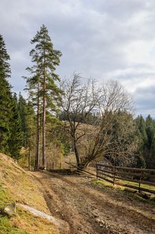 Dirty Road In Carpathian Village Royalty Free Stock Image Dirty Road In Carpathian Village Royalty Free Stock Image