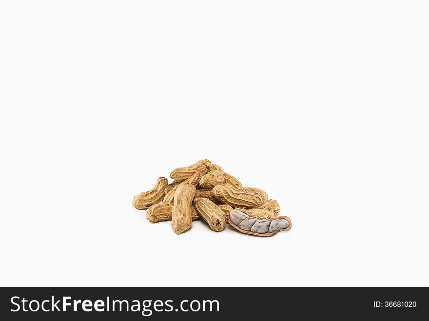 Boil bean with white background