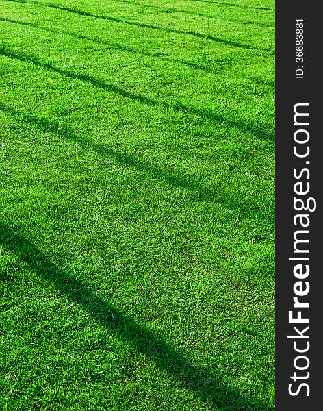 Grass Ground  Background