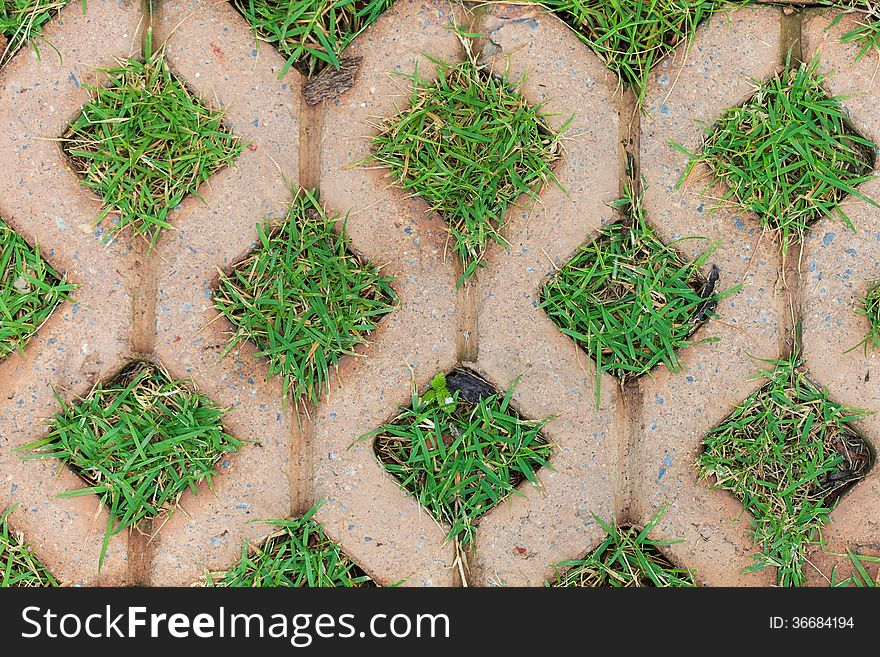 Brick floors with grass background